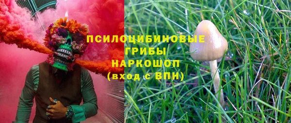 гидропоника Каменногорск