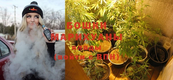 дживик Каменка