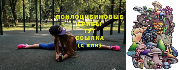 мет Инсар